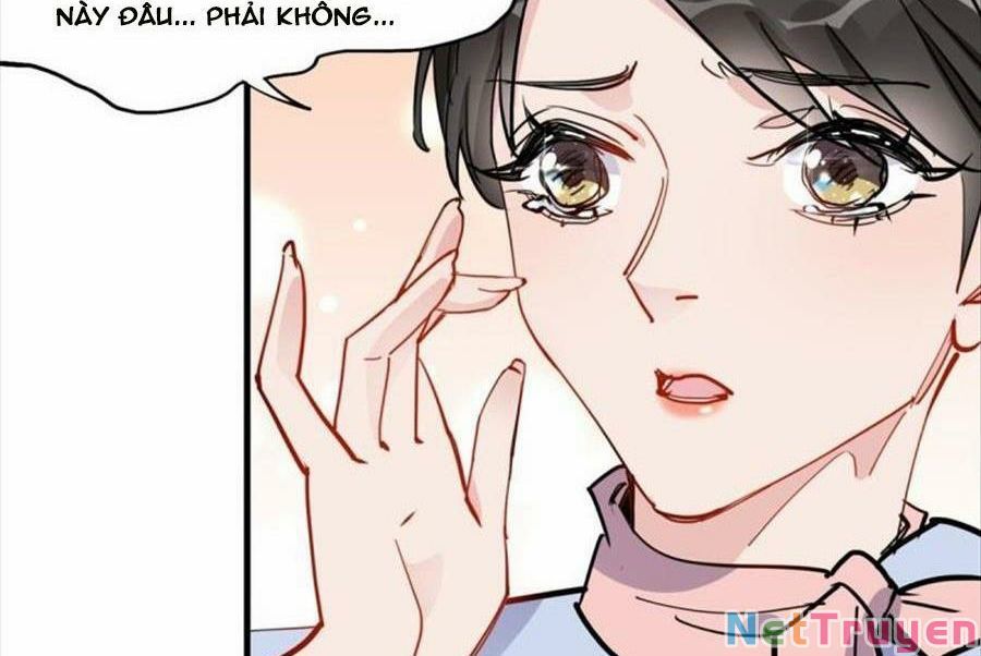 Cố Tổng, Vợ Của Ngài Quá Mạnh Rồi! Chapter 98 - Trang 2