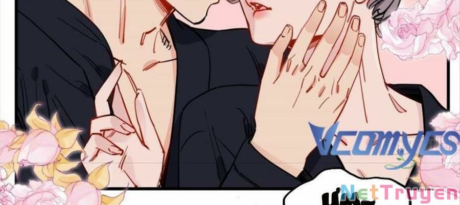 Cố Tổng, Vợ Của Ngài Quá Mạnh Rồi! Chapter 99 - Trang 2