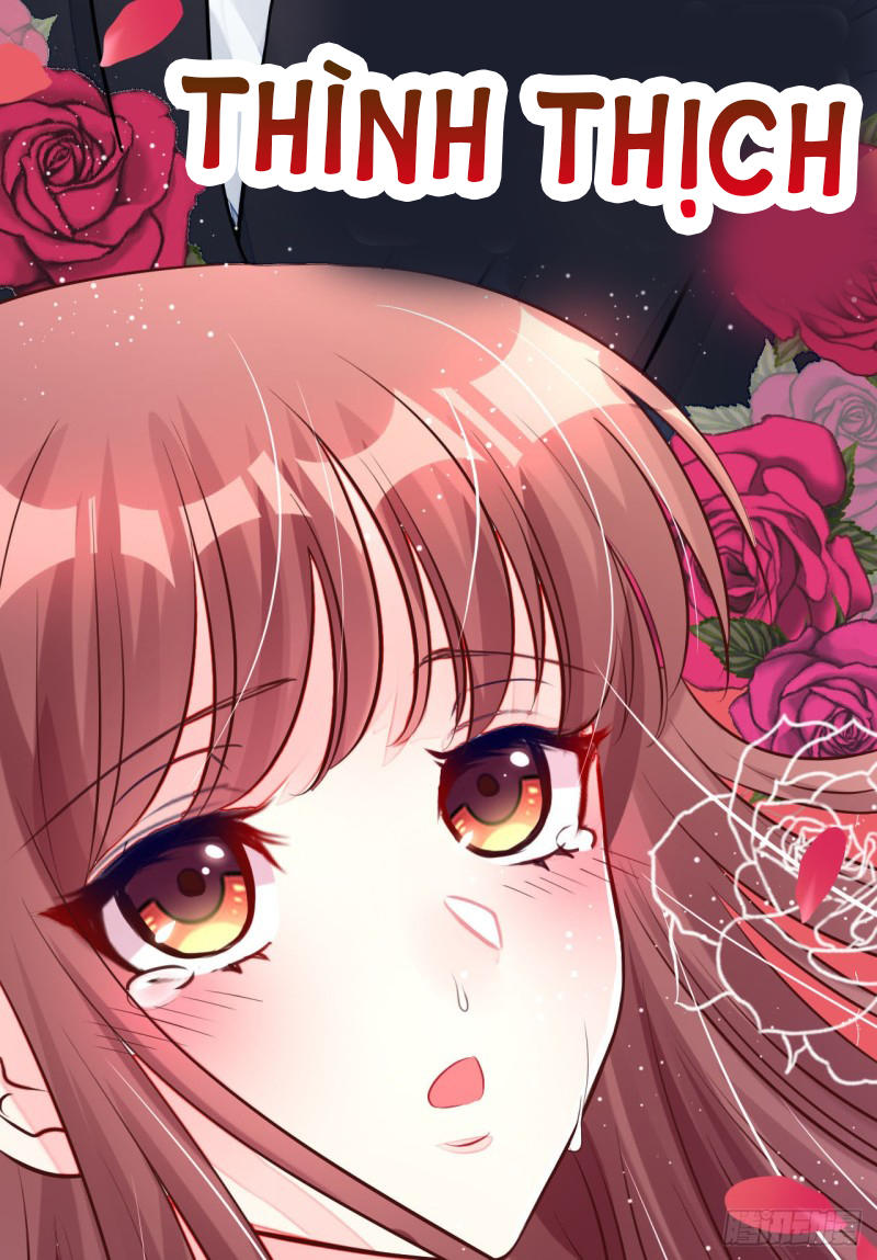 Cơ Trưởng Ngài Nhẹ Nhàng Thôi Chapter 3 - Trang 2