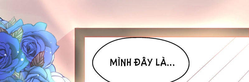 Cơ Trưởng Ngài Nhẹ Nhàng Thôi Chapter 4 - Trang 2