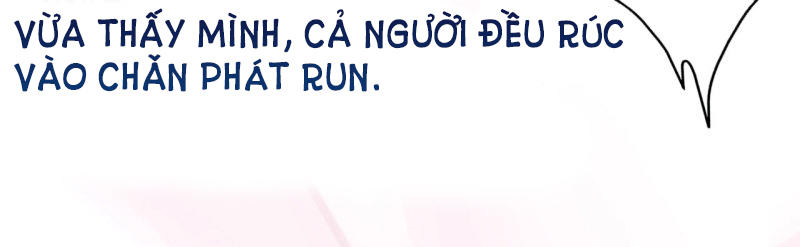 Cơ Trưởng Ngài Nhẹ Nhàng Thôi Chapter 4 - Trang 2