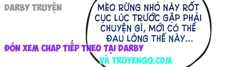 Cơ Trưởng Ngài Nhẹ Nhàng Thôi Chapter 4 - Trang 2