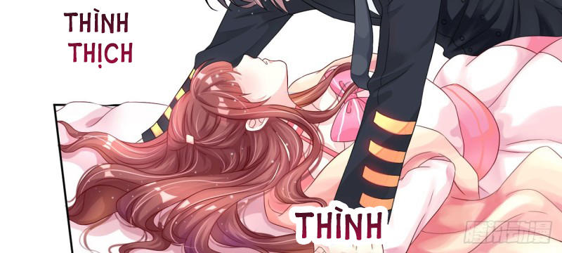 Cơ Trưởng Ngài Nhẹ Nhàng Thôi Chapter 5 - Trang 2