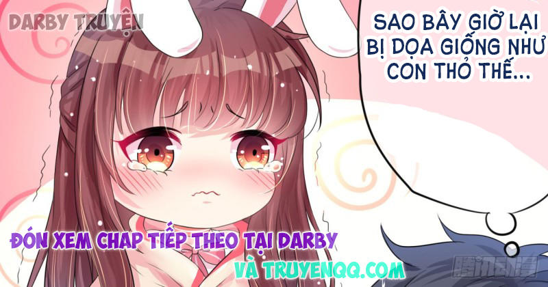 Cơ Trưởng Ngài Nhẹ Nhàng Thôi Chapter 5 - Trang 2