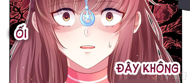 Cơ Trưởng Ngài Nhẹ Nhàng Thôi Chapter 5 - Trang 2