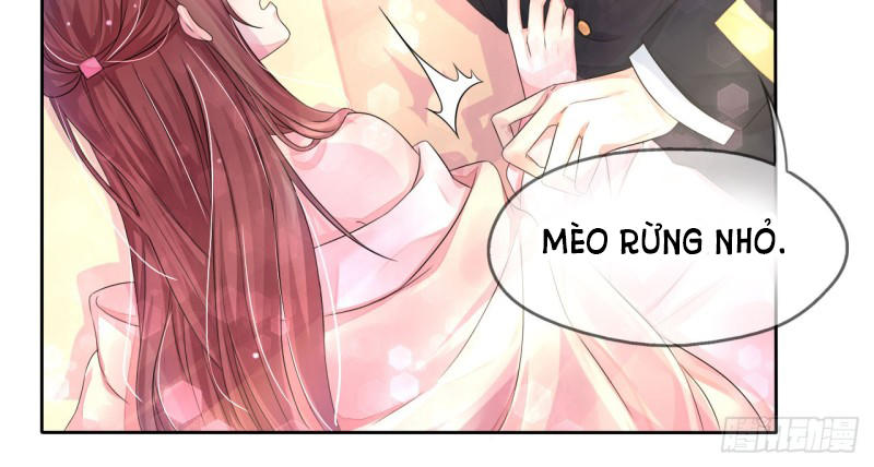 Cơ Trưởng Ngài Nhẹ Nhàng Thôi Chapter 5 - Trang 2