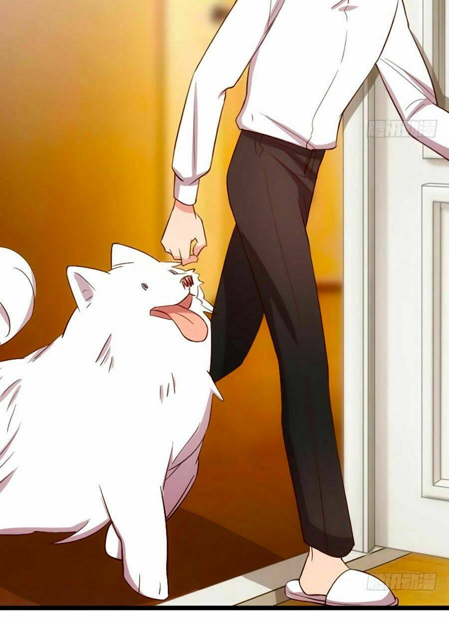 Cô Vợ Ấm Áp Của Hạ Thiếu Chapter 150 - Trang 2