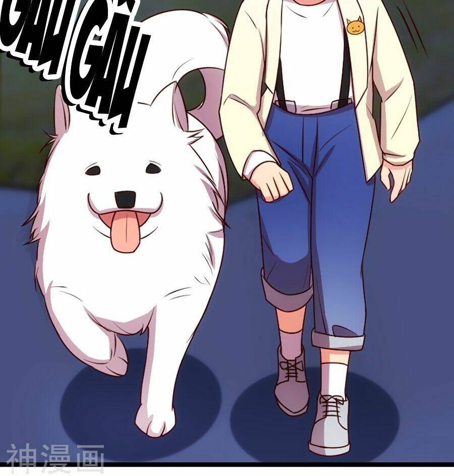 Cô Vợ Ấm Áp Của Hạ Thiếu Chapter 183 - Trang 2