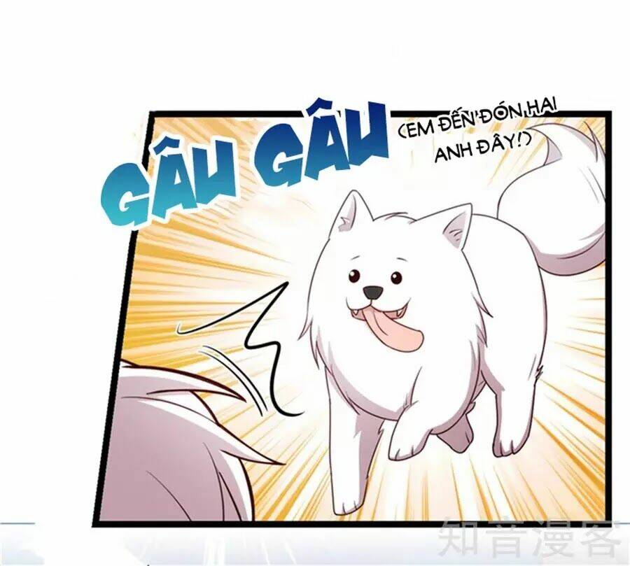 Cô Vợ Ấm Áp Của Hạ Thiếu Chapter 233 - Trang 2