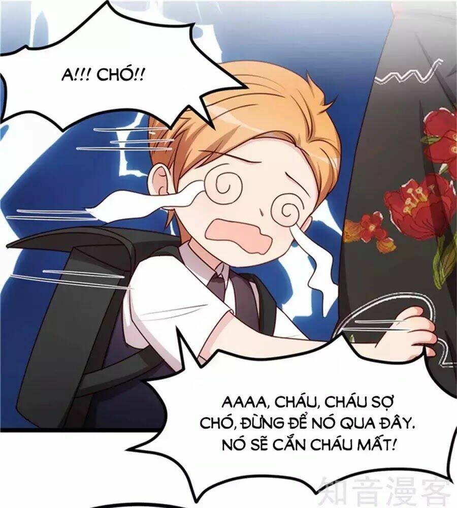 Cô Vợ Ấm Áp Của Hạ Thiếu Chapter 233 - Trang 2