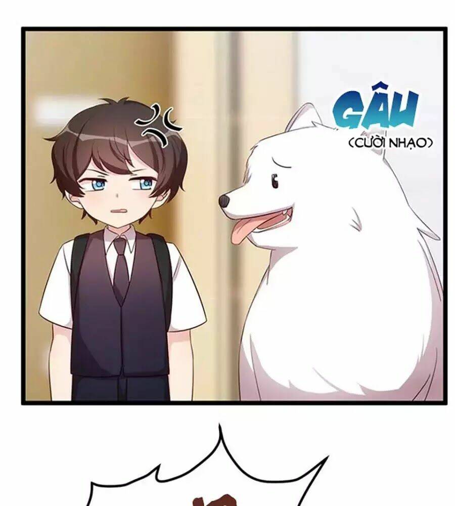 Cô Vợ Ấm Áp Của Hạ Thiếu Chapter 234 - Trang 2