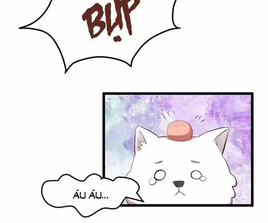 Cô Vợ Ấm Áp Của Hạ Thiếu Chapter 234 - Trang 2