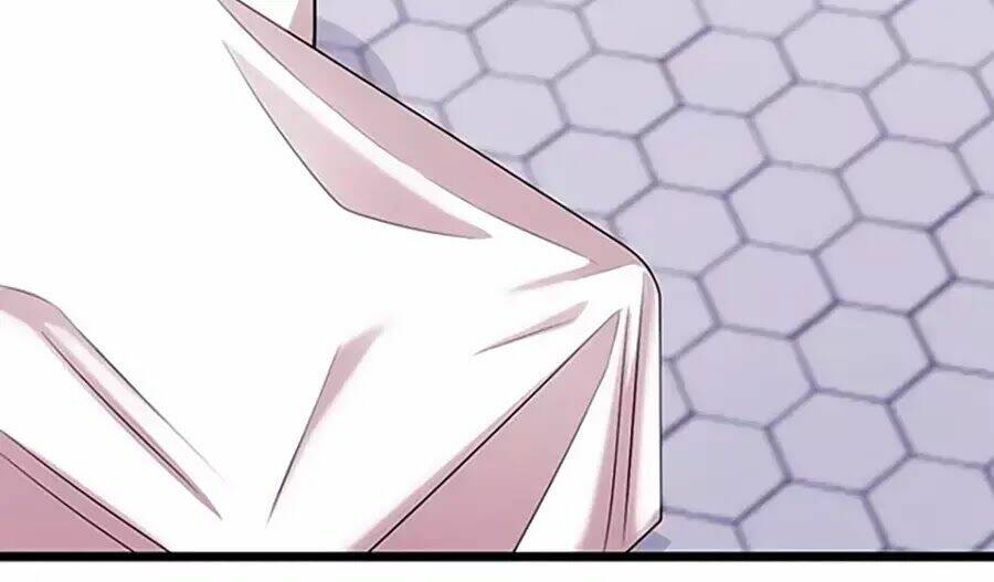 Cô Vợ Ấm Áp Của Hạ Thiếu Chapter 238 - Trang 2