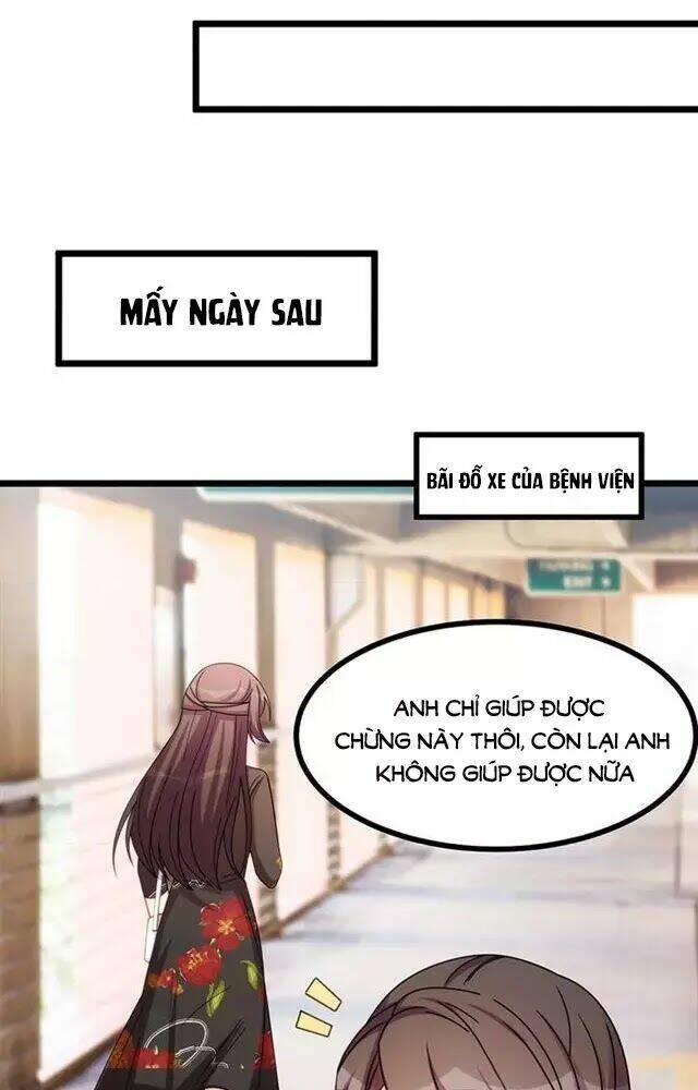 Cô Vợ Ấm Áp Của Hạ Thiếu Chapter 243 - Trang 2