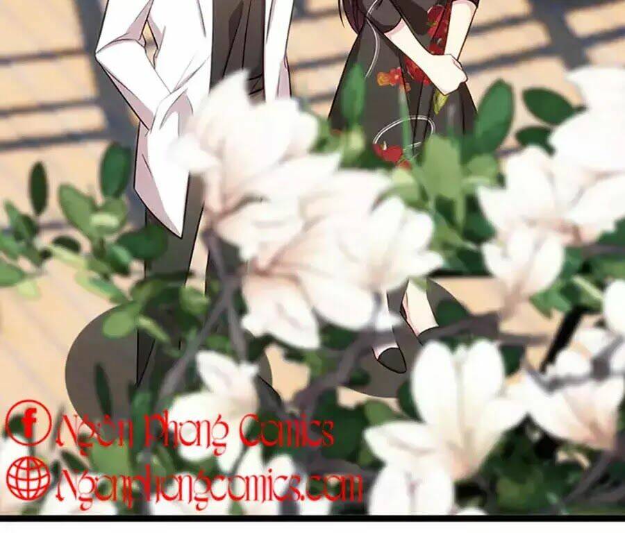 Cô Vợ Ấm Áp Của Hạ Thiếu Chapter 244 - Trang 2