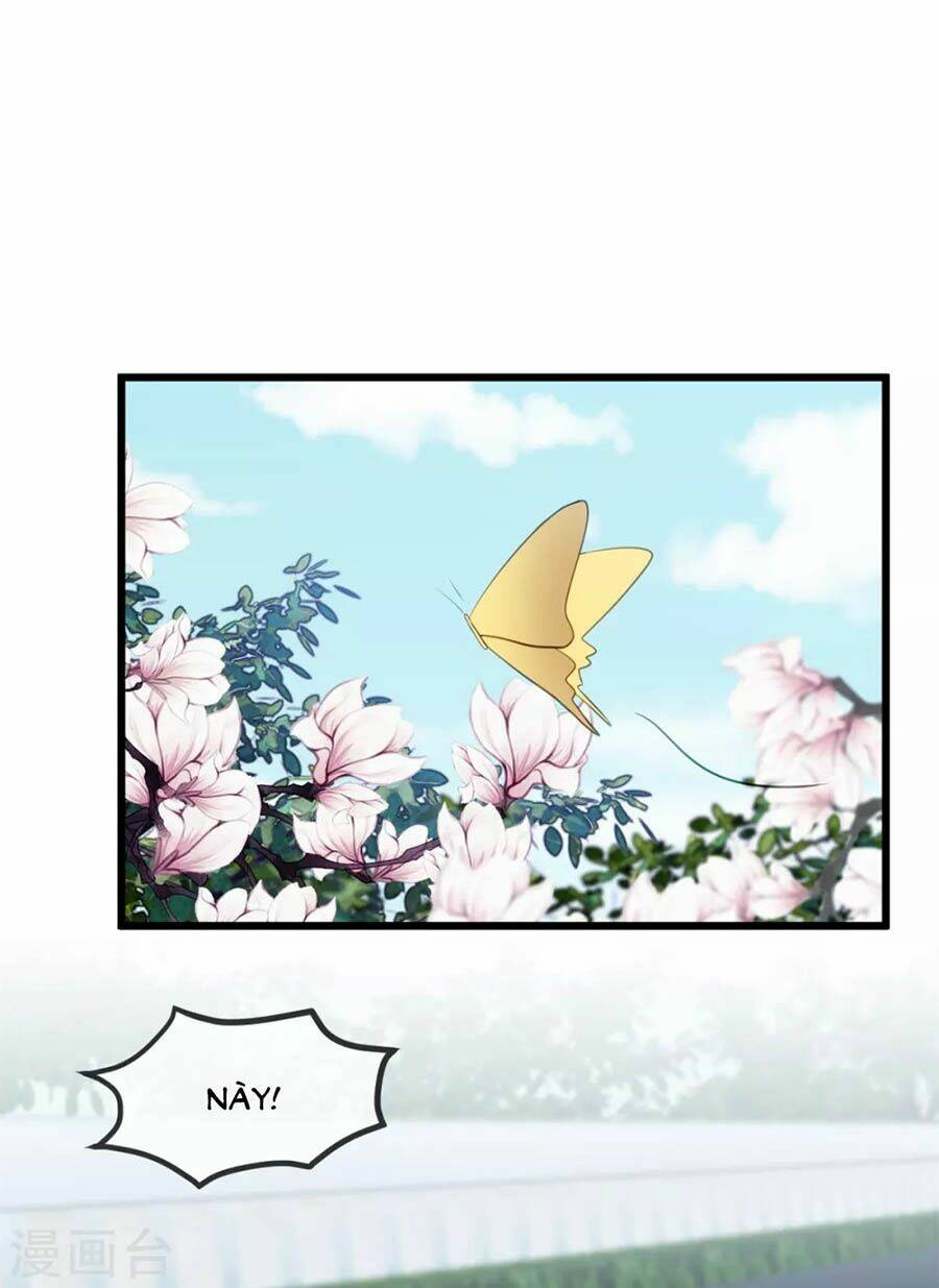 Cô Vợ Ấm Áp Của Hạ Thiếu Chapter 257 - Trang 2