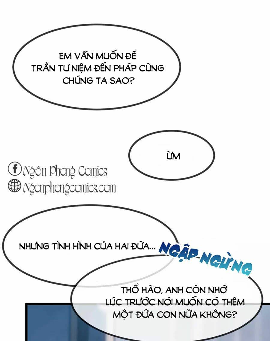 Cô Vợ Ấm Áp Của Hạ Thiếu Chapter 257 - Trang 2