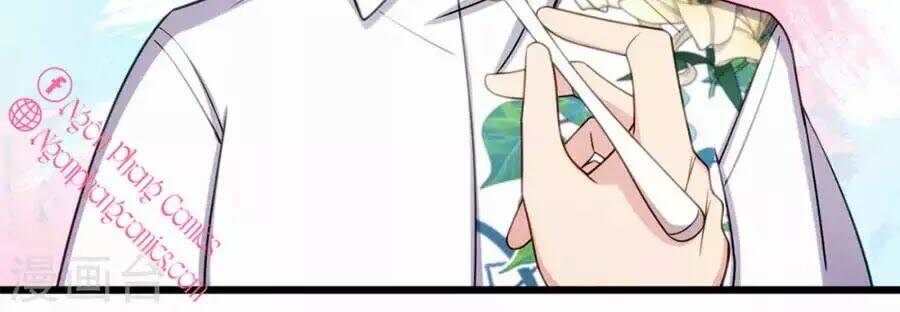 Cô Vợ Ấm Áp Của Hạ Thiếu Chapter 259 - Trang 2