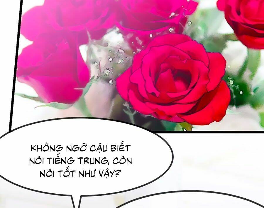 Cô Vợ Ấm Áp Của Hạ Thiếu Chapter 284 - Trang 2