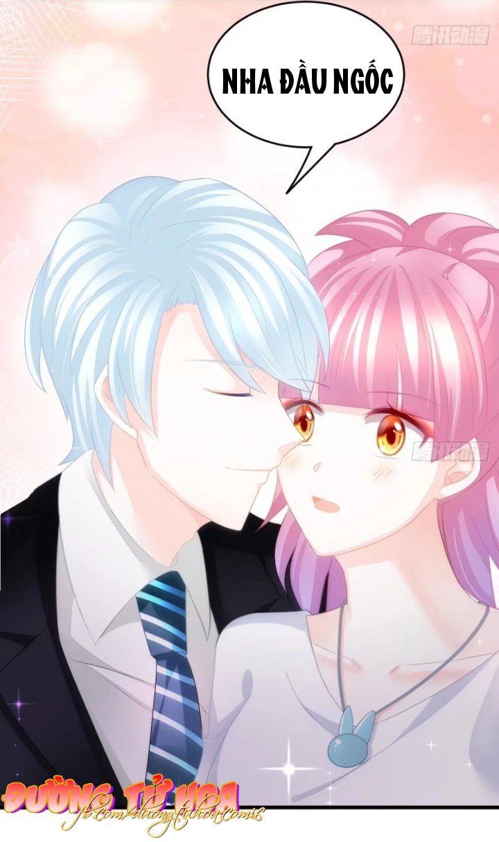 Cô Vợ Đáng Yêu Của Tổng Giám Đốc Mặt Lạnh Chapter 12 - Trang 2