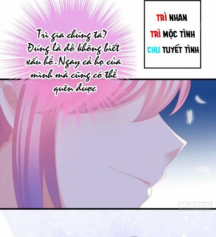 Cô Vợ Đáng Yêu Của Tổng Giám Đốc Mặt Lạnh Chapter 4 - Trang 2