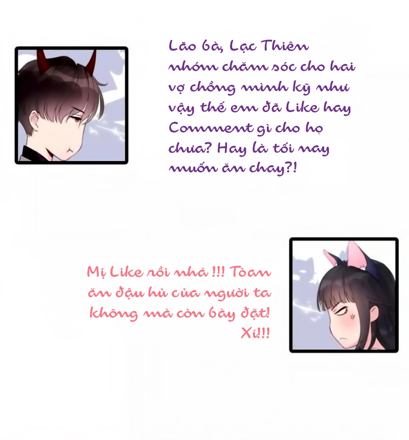 Cô Vợ Hợp Đồng Bỏ Trốn Của Tổng Giám Đốc Chapter 14 - Trang 2