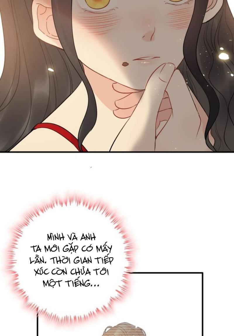 Cô Vợ Hợp Đồng Bỏ Trốn Của Tổng Giám Đốc Chapter 197 - Trang 2