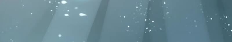 Cô Vợ Hợp Đồng Bỏ Trốn Của Tổng Giám Đốc Chapter 204 - Trang 2