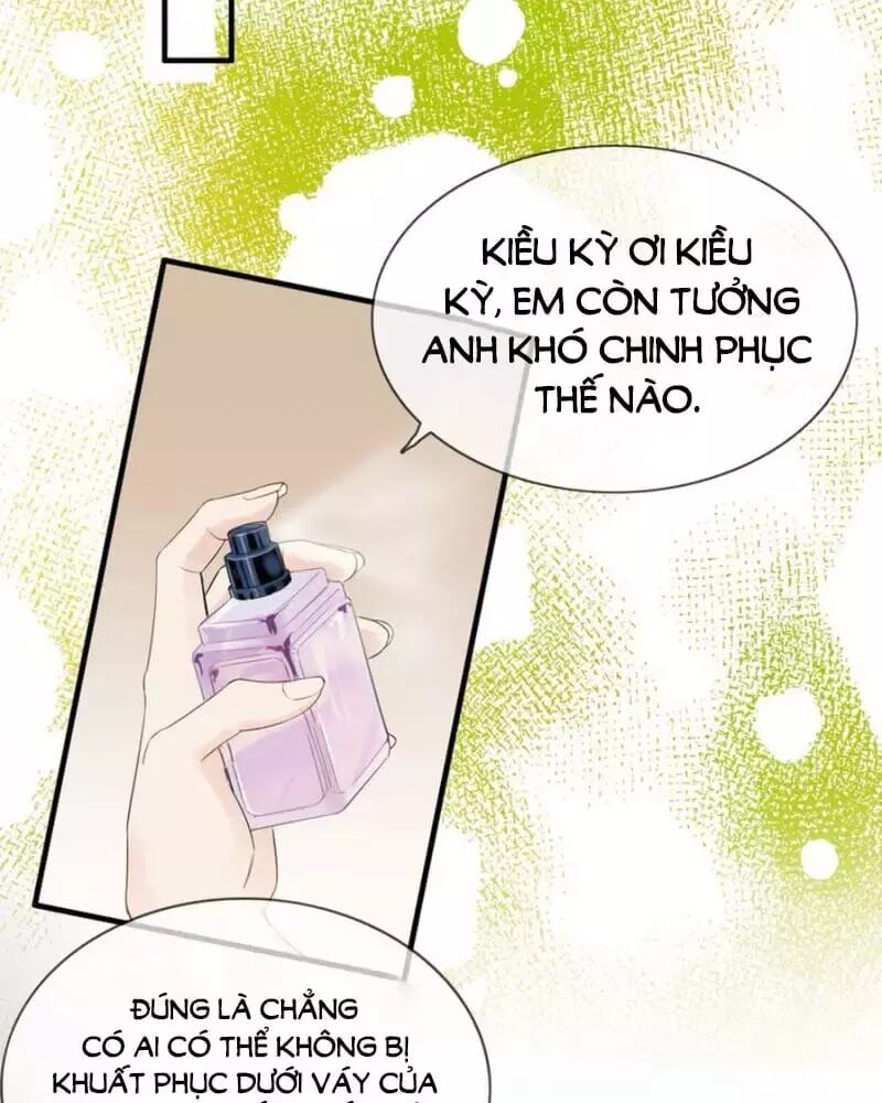 Cô Vợ Hợp Đồng Bỏ Trốn Của Tổng Giám Đốc Chapter 250 - Trang 2