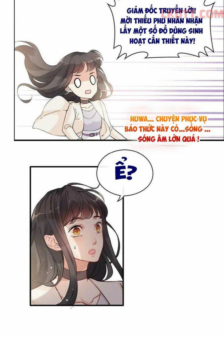 Cô Vợ Hợp Đồng Bỏ Trốn Của Tổng Giám Đốc Chapter 337 - Trang 2