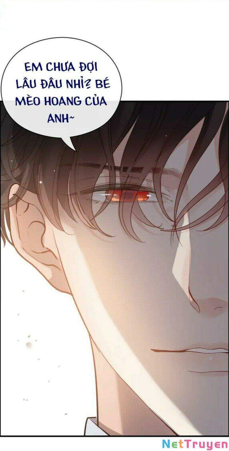 Cô Vợ Hợp Đồng Bỏ Trốn Của Tổng Giám Đốc Chapter 368 - Trang 2