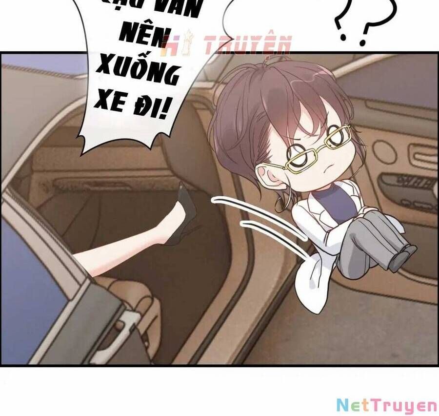 Cô Vợ Hợp Đồng Bỏ Trốn Của Tổng Giám Đốc Chapter 416.5 - Trang 2