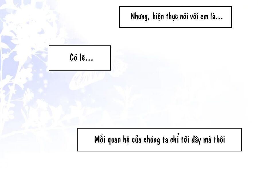 Cô Vợ Hợp Đồng Lạnh Lùng Không Dễ Đụng Đâu Chapter 0 - Trang 2