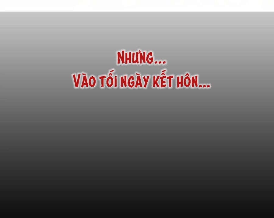 Cô Vợ Hợp Đồng Lạnh Lùng Không Dễ Đụng Đâu Chapter 0 - Trang 2