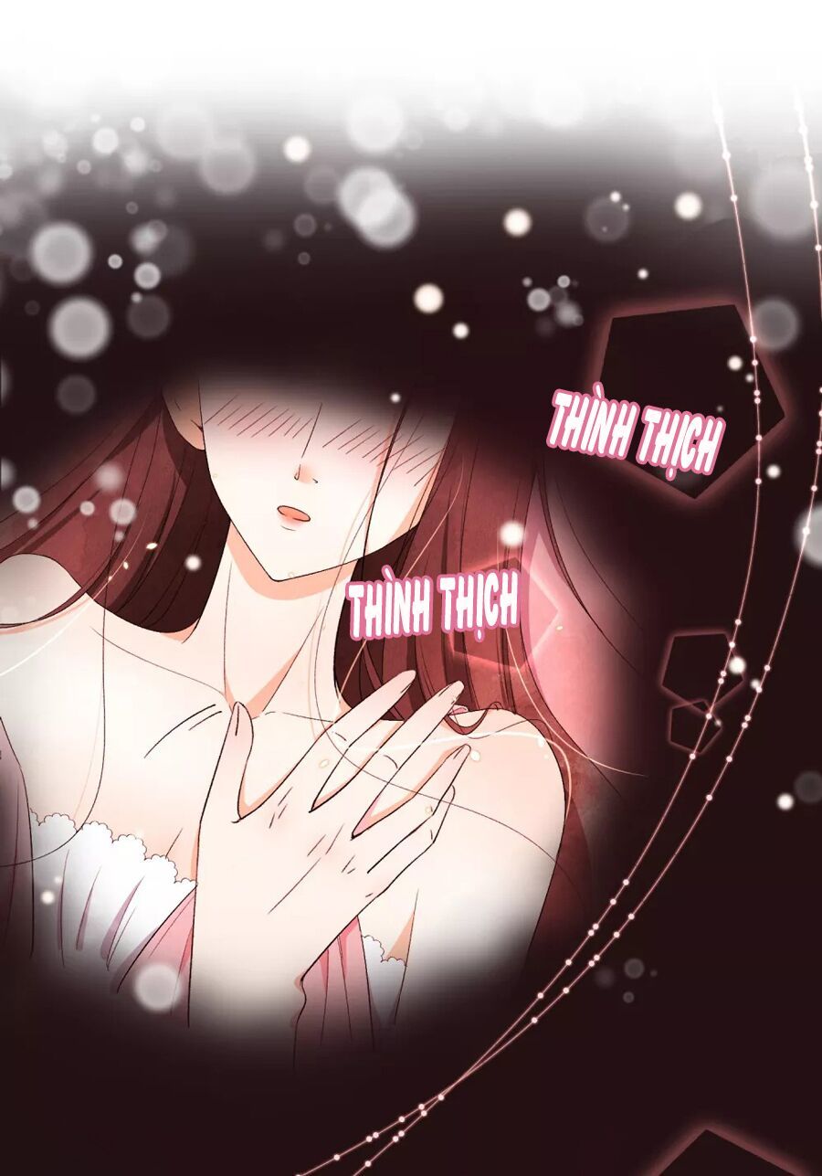 Cô Vợ Hợp Đồng Lạnh Lùng Không Dễ Đụng Đâu Chapter 1 - Trang 2