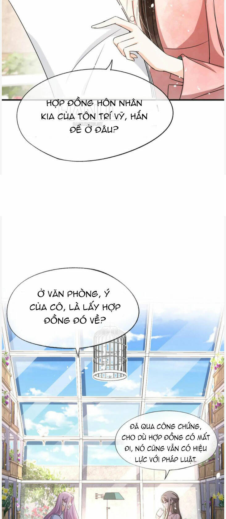 Cô Vợ Hợp Đồng Lạnh Lùng Không Dễ Đụng Đâu Chapter 139 - Trang 2