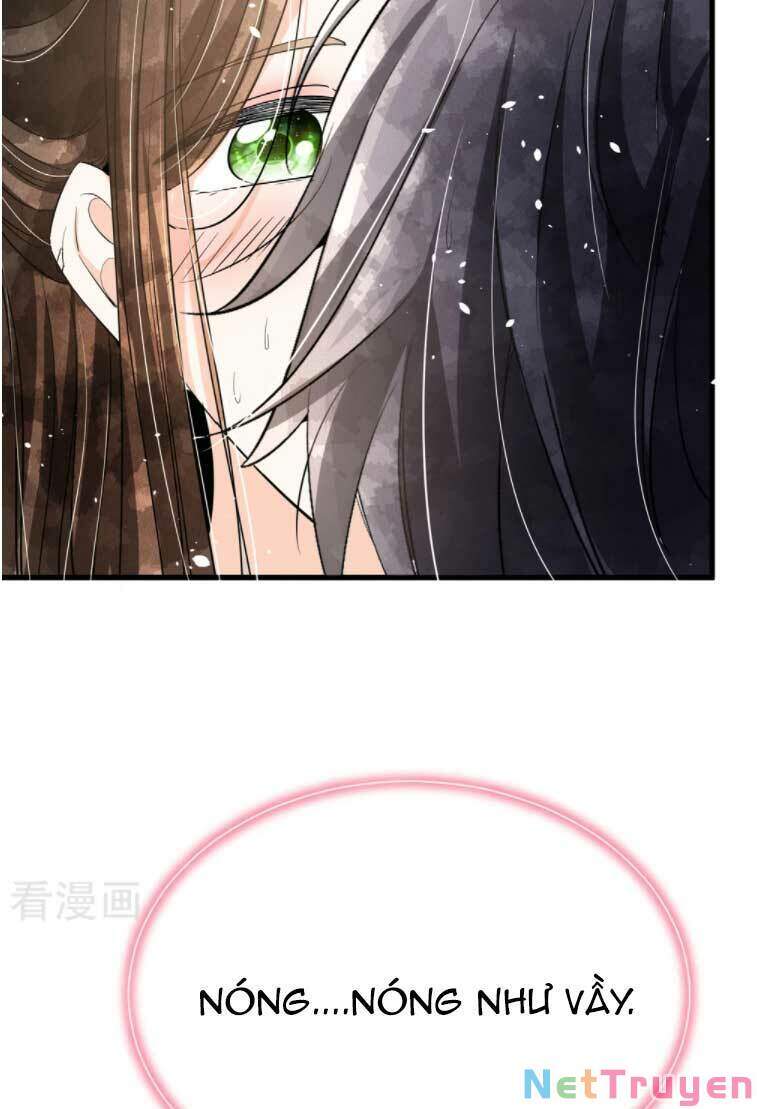 Cô Vợ Hợp Đồng Lạnh Lùng Không Dễ Đụng Đâu Chapter 174.1 - Trang 2