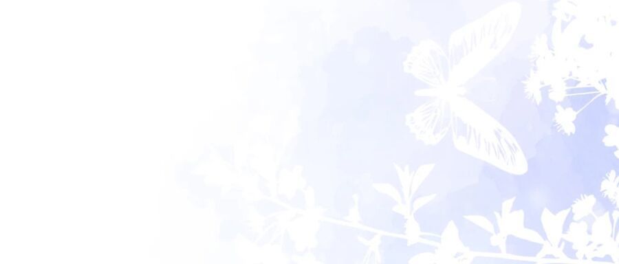 Cô Vợ Hợp Đồng Lạnh Lùng Không Dễ Đụng Đâu Chapter 19 - Trang 2