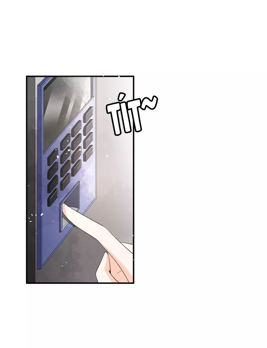 Cô Vợ Hợp Đồng Lạnh Lùng Không Dễ Đụng Đâu Chapter 2 - Trang 2