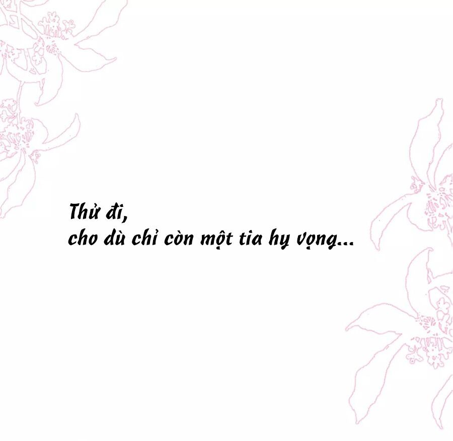 Cô Vợ Hợp Đồng Lạnh Lùng Không Dễ Đụng Đâu Chapter 7 - Trang 2