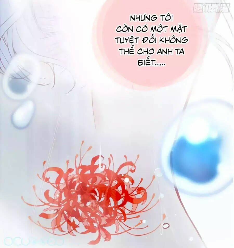 Cô Vợ Mang Thai Một Tặng Một Chapter 1 - Trang 2