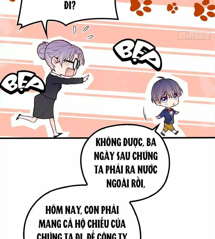 Cô Vợ Mang Thai Một Tặng Một Chapter 11 - Trang 2