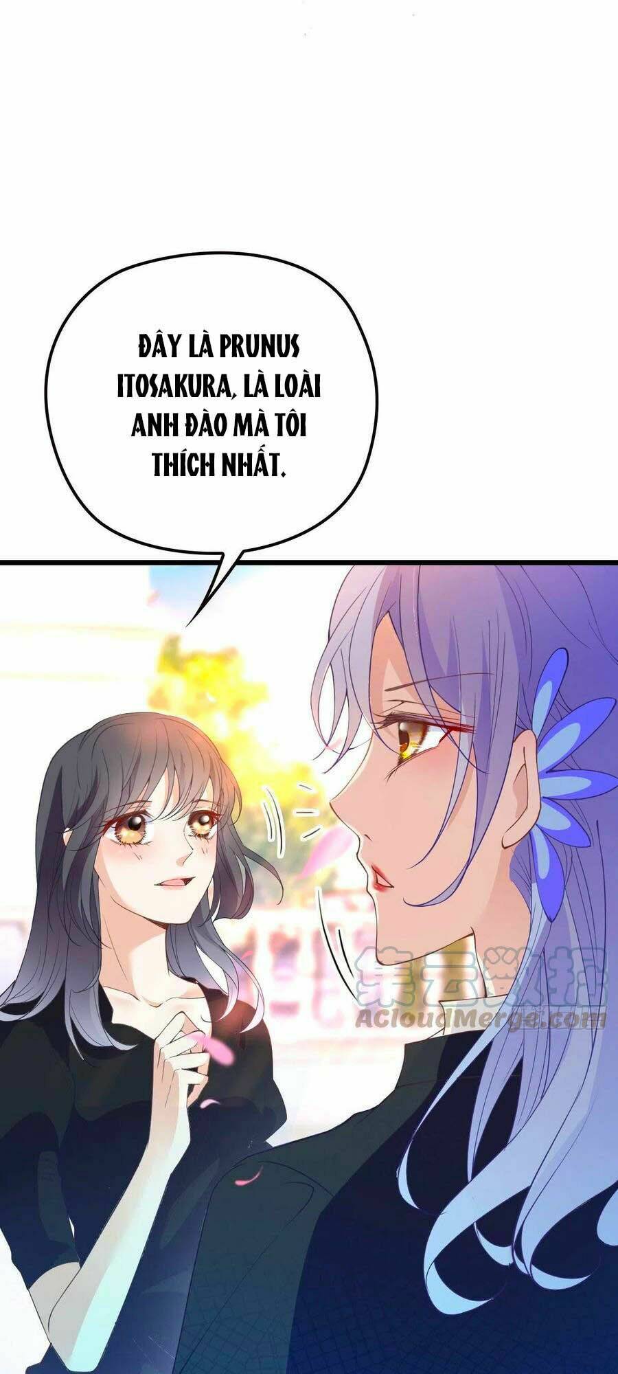 Cô Vợ Mang Thai Một Tặng Một Chapter 111 - Trang 2