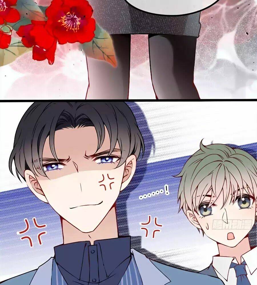 Cô Vợ Mang Thai Một Tặng Một Chapter 13 - Trang 2