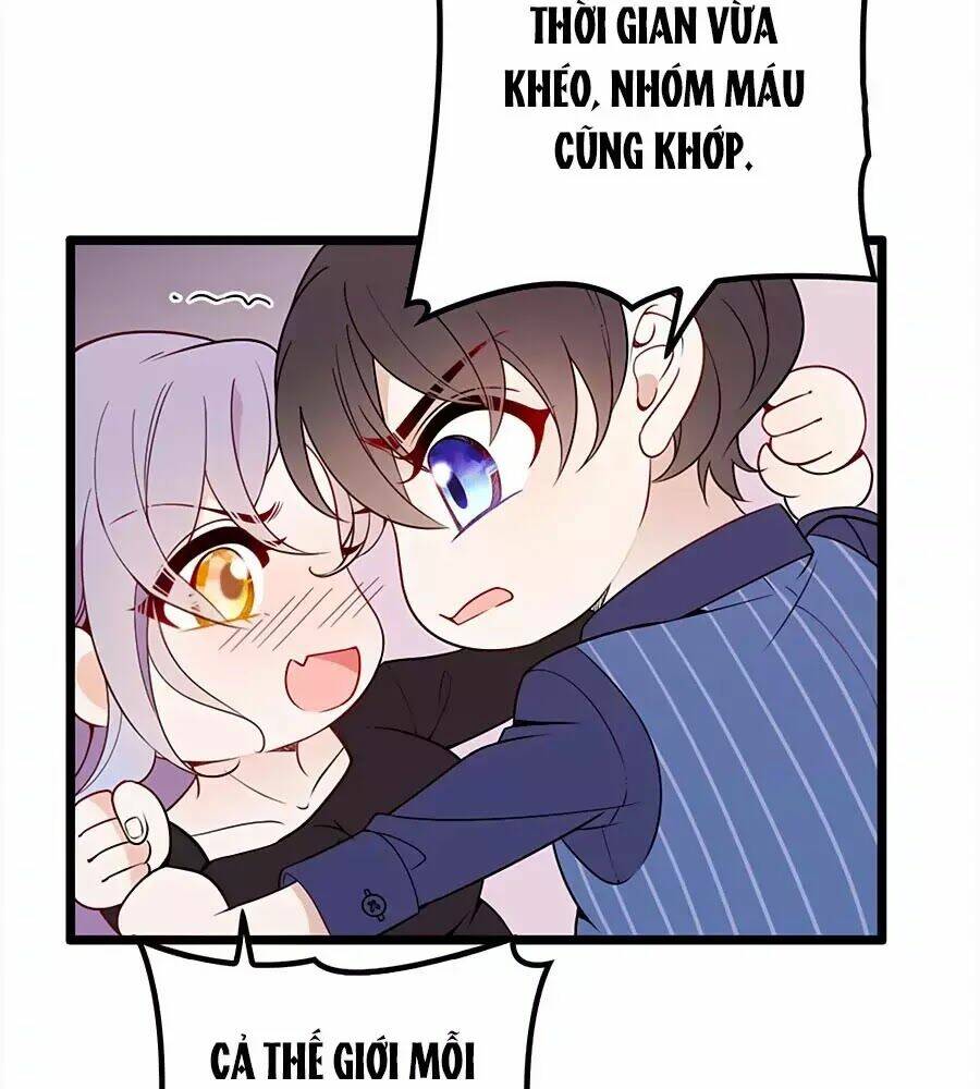 Cô Vợ Mang Thai Một Tặng Một Chapter 15 - Trang 2