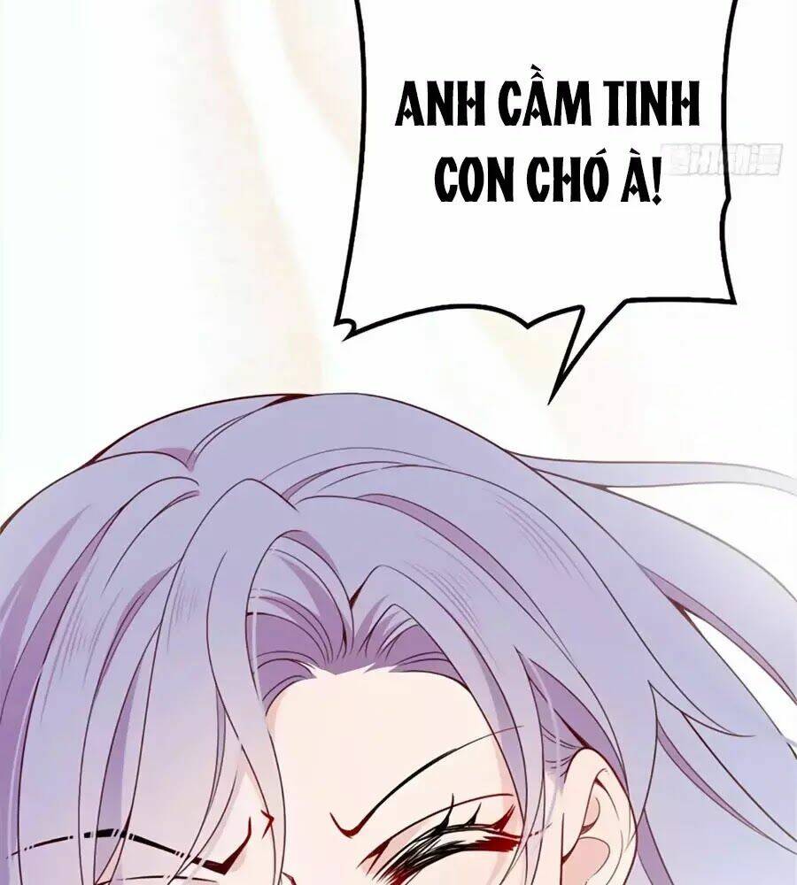 Cô Vợ Mang Thai Một Tặng Một Chapter 16 - Trang 2