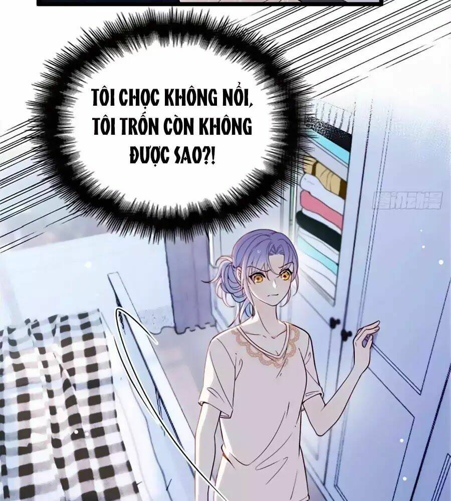 Cô Vợ Mang Thai Một Tặng Một Chapter 16 - Trang 2