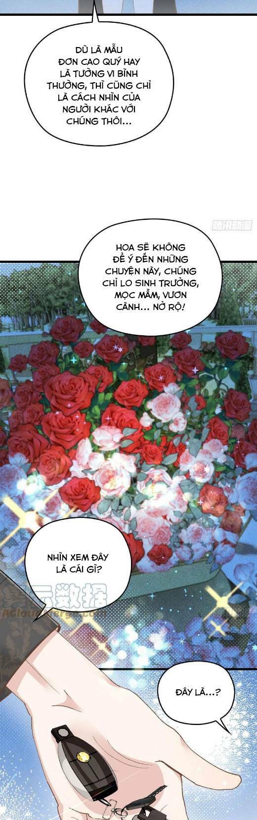 Cô Vợ Mang Thai Một Tặng Một Chapter 164 - Trang 2