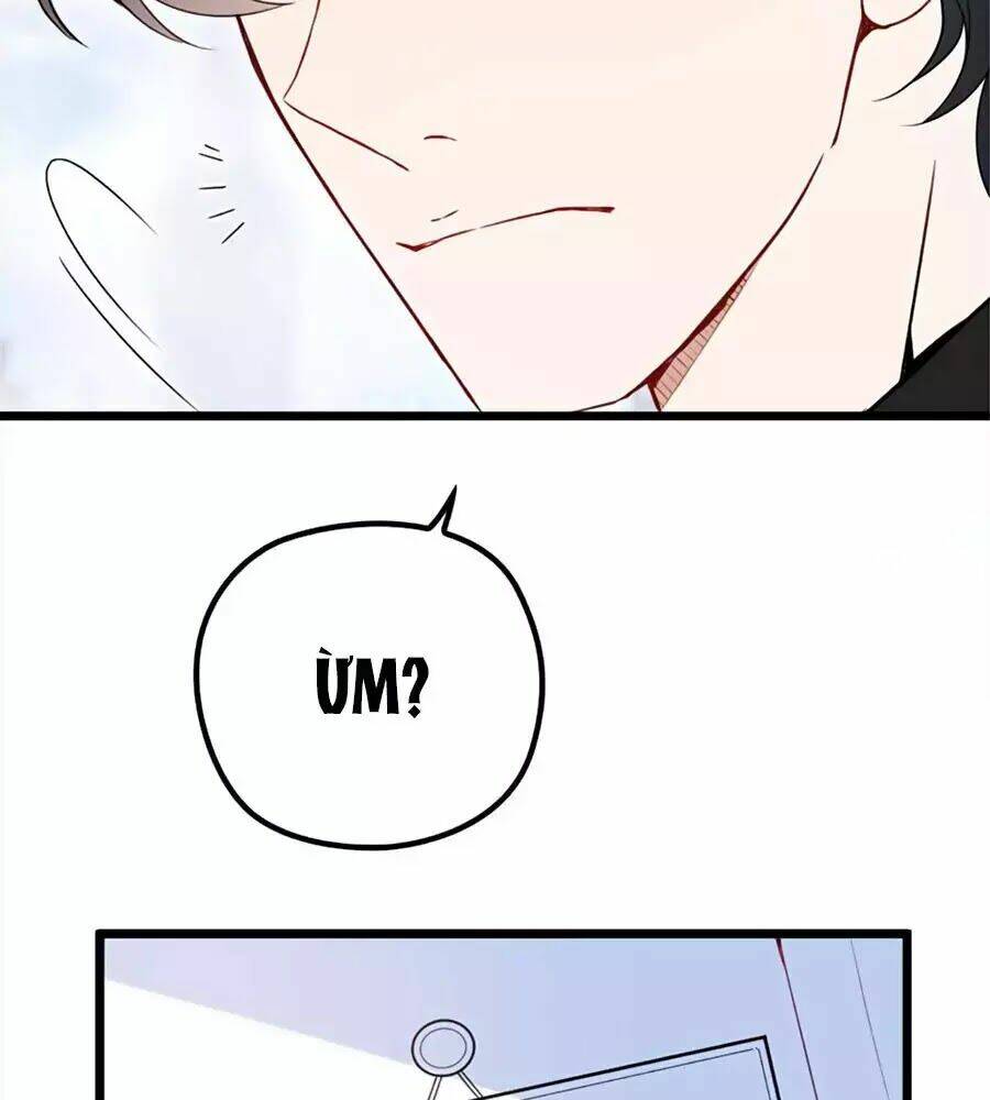 Cô Vợ Mang Thai Một Tặng Một Chapter 17 - Trang 2