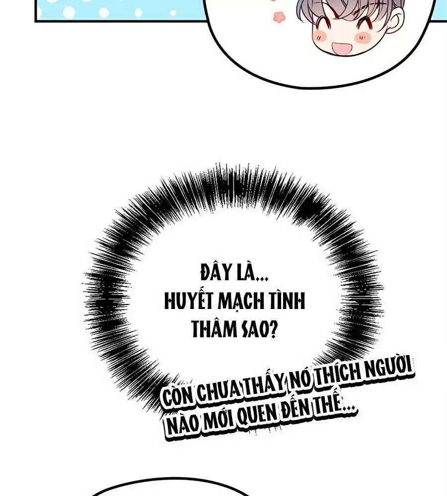 Cô Vợ Mang Thai Một Tặng Một Chapter 20 - Trang 2